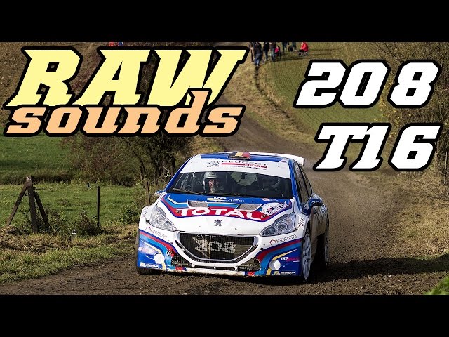 RAW sounds - Peugeot 208 T16