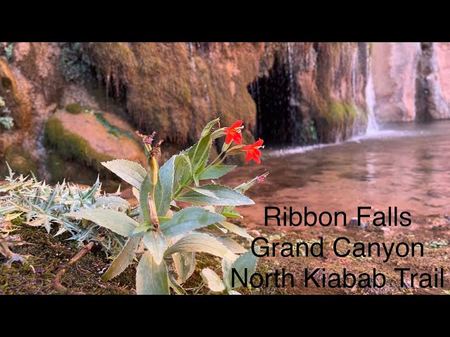 Day 3 Grand Canyon North Kaibab trail
