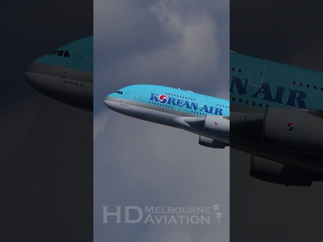 AWESOME Korean Air Airbus A380 Takeoff to New York JFK Airport