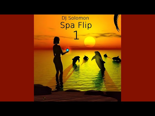 DJ Solomon - Spa Flip 1