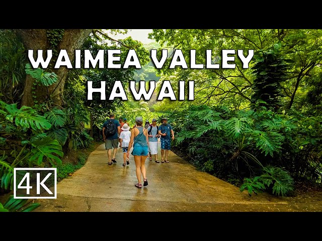 [4K] Waimea Valley in North Shore Oahu Hawaii - Walking Tour