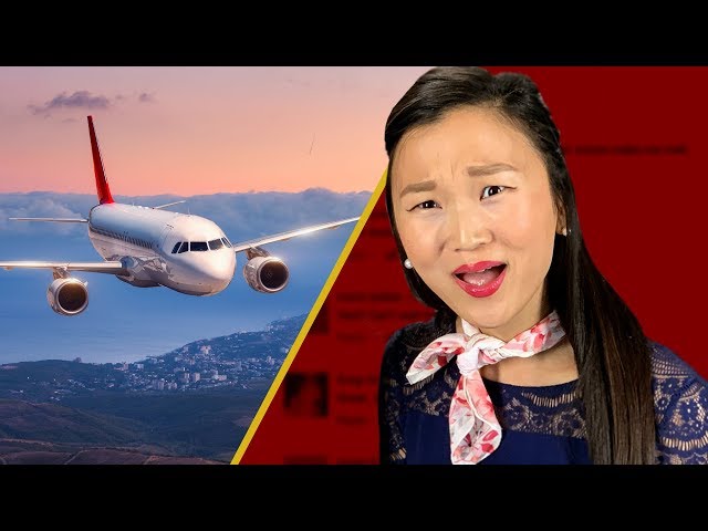 Ask Flight Attendants Anything • LIVE