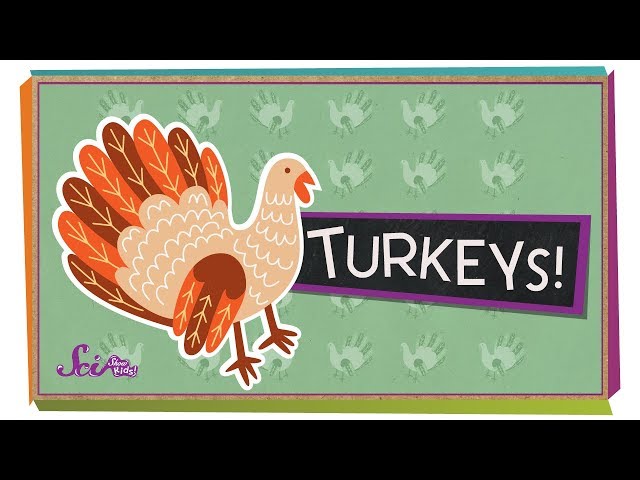 Fun Facts About Turkeys! | Fall Science | Holiday Science | SciShow Kids