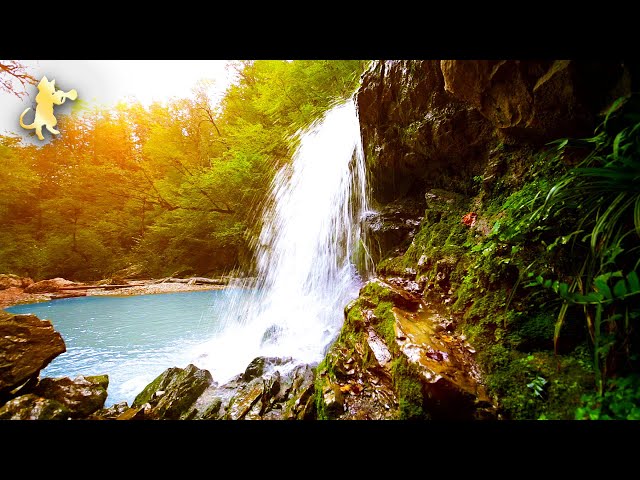 Breathtaking Waterfall Sounds! 😻🌲 Relaxing Nature Sounds for Sleep, Study & Stress Relief • NO MUSIC