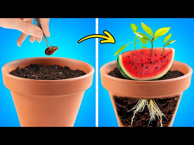 Watermelon Gardening 🍉🍉 And Satisfying Cut And Peel Hacks