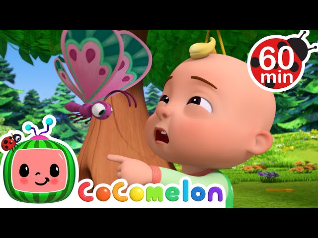 Look! A Butterfly! | JJ's Fantasy Animals | Animals for Kids | Sing Along | Learn about Animals