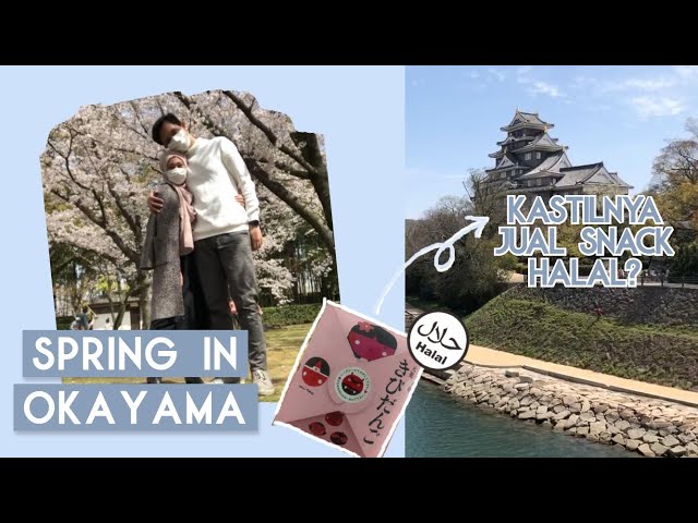 Okayama Castle Jual Snack Halal? | Okayama Trip (Part 2)
