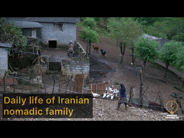 daily life of Iranian nomadic familyزندگی  روزمره یک خانواده گالش در شمال ایران مازندران
