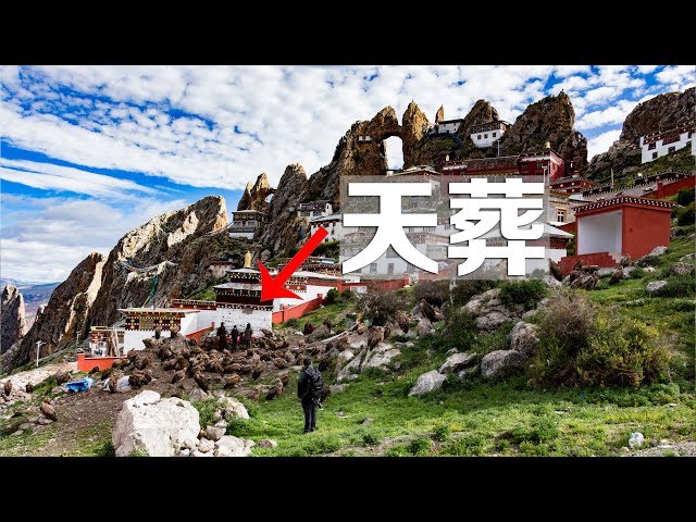 [CC SUB] [Bacon's Journey] WARNING! Take a Closer Look at the Sky Burial.
