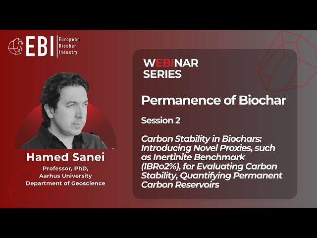 Session 2: Carbon Stability in Biochars