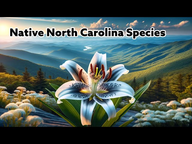 North Carolina Native Species Free Documentary