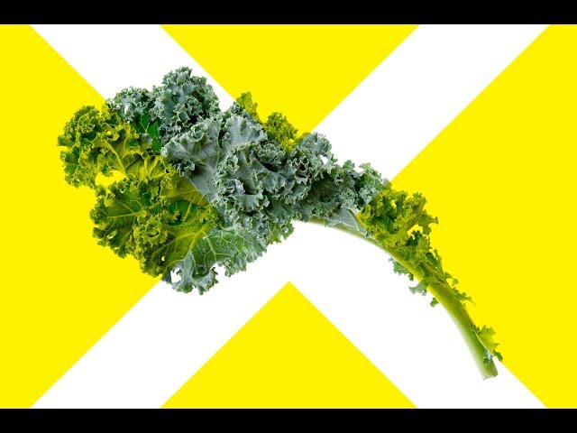 The Vegetable Myth: Veggies Are Not Necessary