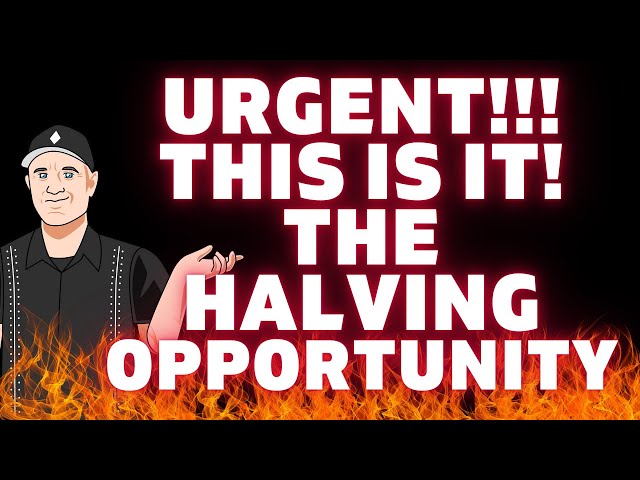 URGENT ⛔️ BITCOIN HALVING UPDATE 🔥🚀 LOADED THE BOAT ON THIS ONE 🤑 TOP CRYPTO TO BUY NOW