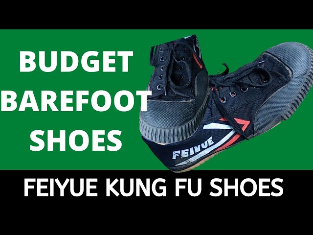 Best budget minimalist/barefoot shoes | Feiyue explained #minimalistshoes #barefootshoes