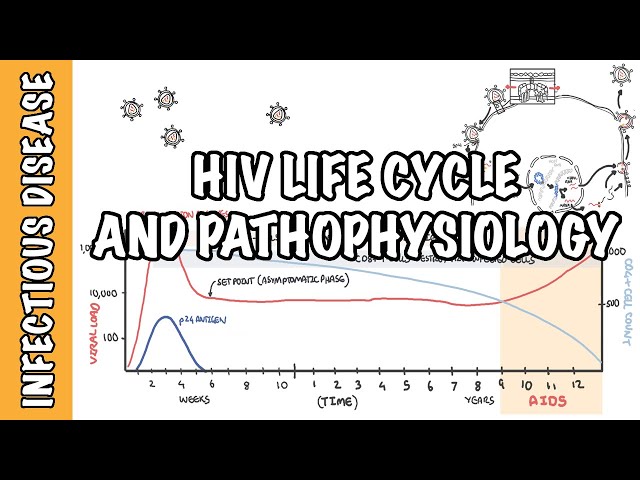 Human immunodeficiency virus (HIV) - life cycle, pathophysiology, investigations, diagnosis and AIDS