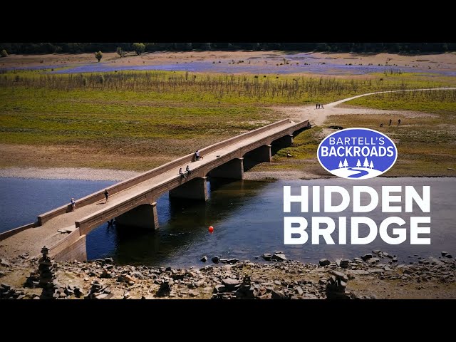Wildflowers lead to Folsom Lake's hidden bridge | Bartell's Backroads
