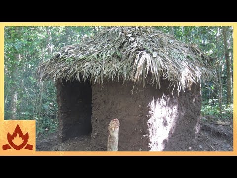 Primitive Technology: Palm Thatched Mud Hut