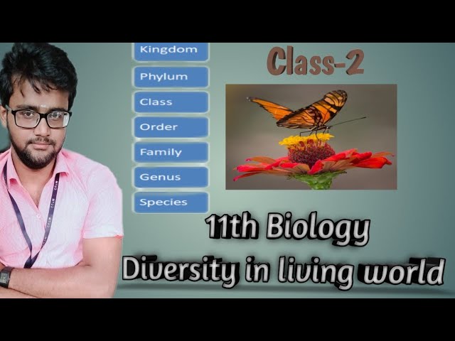 +2 1st Year Biology  Diversity in Living World in Odia // Class-2/CHSE & CBSE, By Jogesh Kumar Nayak