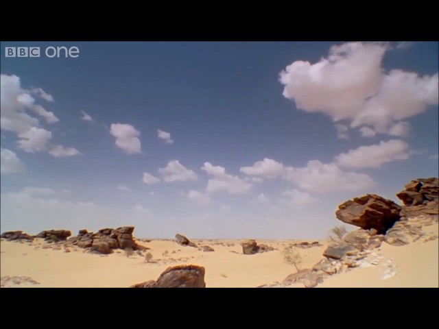 The most bizarre and unexpected sound of the Australian outback
