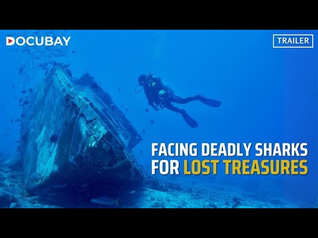 A Hunt For Treasures Lost In A 300 Year-Old Spanish Shipwreck | The Lost Treasure Fleet of 1715