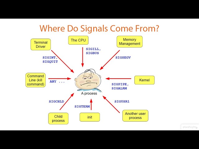 07 01 Understanding Signals in Linux System
