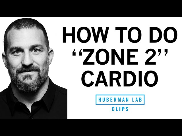 How & Why to Get Weekly "Zone 2" Cardio Workouts | Dr. Andrew Huberman