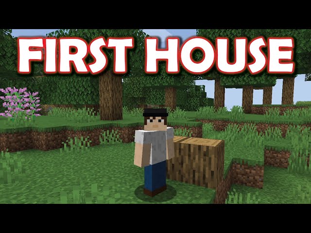 MAKING MY FIRST MINECRAFT HOUSE (+ getting armour?) Minecraft Survival First playthrough!