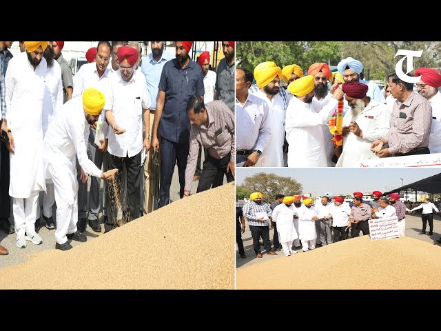 CM Bhagwant Mann reviews wheat procurement arrangements in Khanna