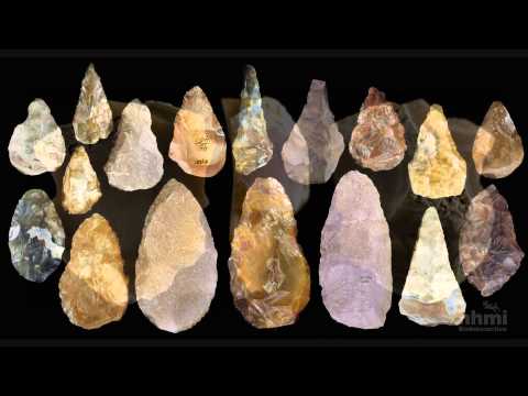 Stone Tool Technology of Our Human Ancestors — HHMI BioInteractive Video