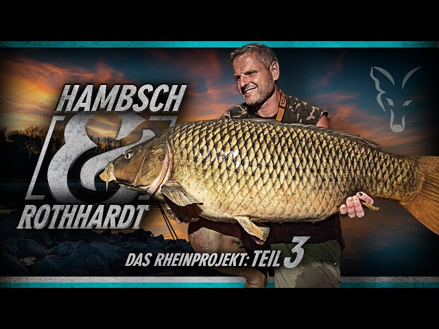 Hambsch & Rothhardt - Das Rheinprojekt Teil 3 (Karpfenangeln)