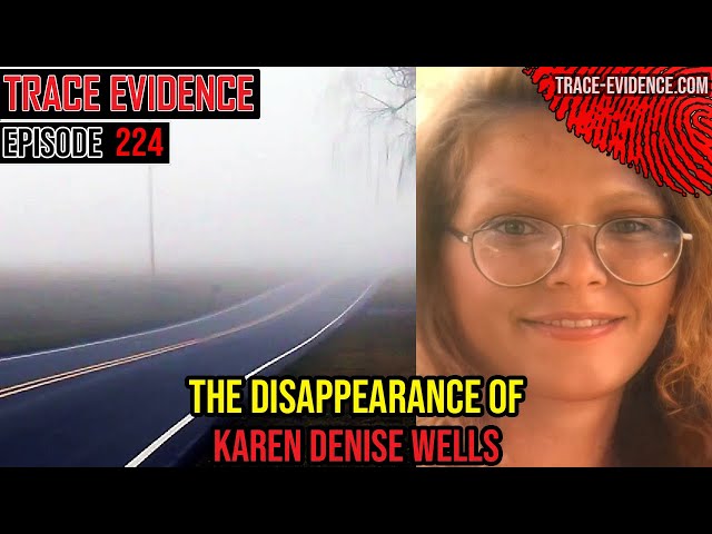 224 - The Disappearance of Karen Denise Wells