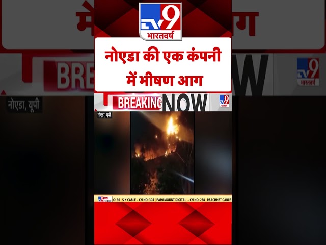 Noida Fire: नोएडा की एक कंपनी में भीषण आग|#shorts