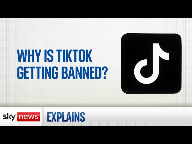 Why is TikTok getting banned around the world?
