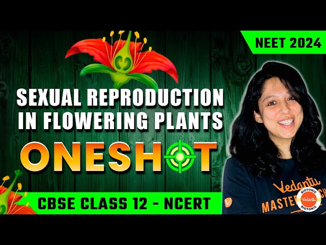 Sexual Reproduction in Flowering Plants One Shot | Class 12 📚 | Vani Ma'am | NEET 2024 🥼🩺