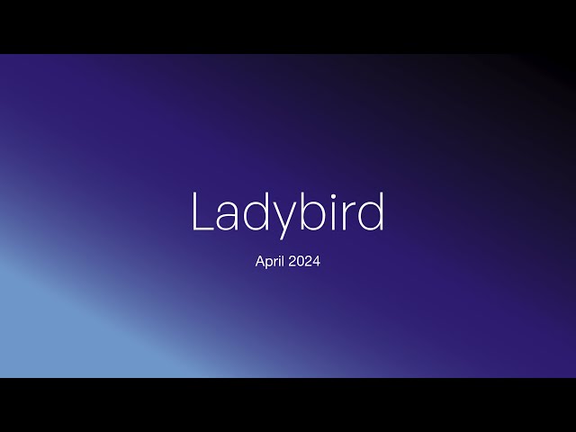 Ladybird browser update (April 2024)