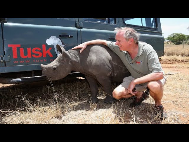 Tusk charity co-founder Charlie Mayhew on the challenges faced by conservation in 2020