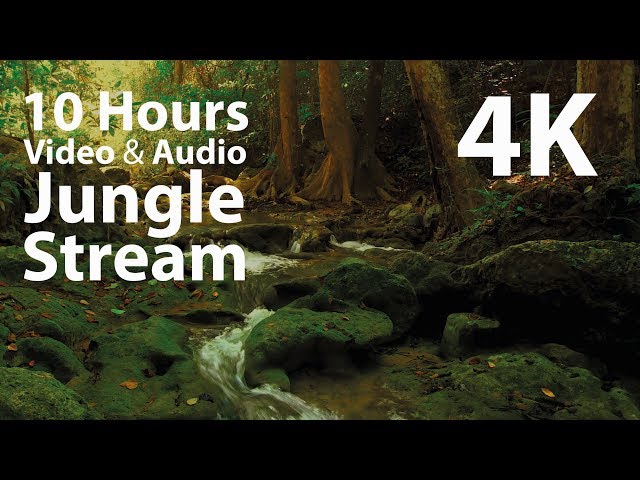 4K UHD 10 hours - Jungle Stream - mindfulness, ambience, relaxing, meditation, nature