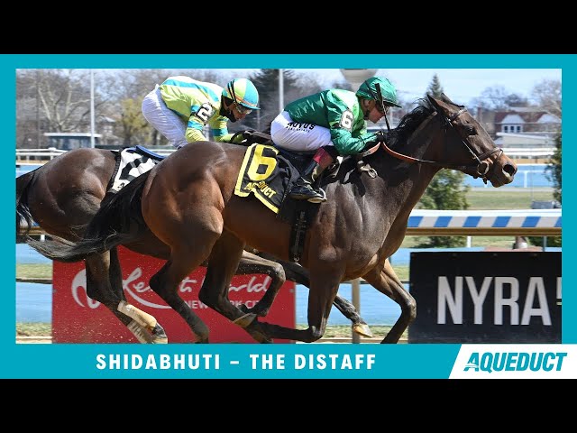 Shidabhuti - 2024 - The Distaff