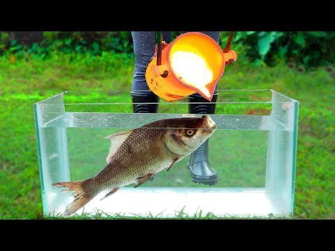 Experiment: LAVA vs FISH Under Water!