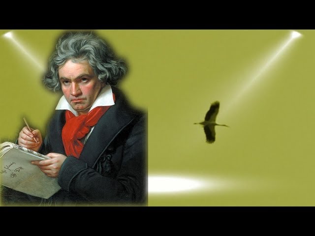Beethoven - Symphony No. 5 - Symphonie Nr. 5 Ludwig van Beethoven - 5th Symphony