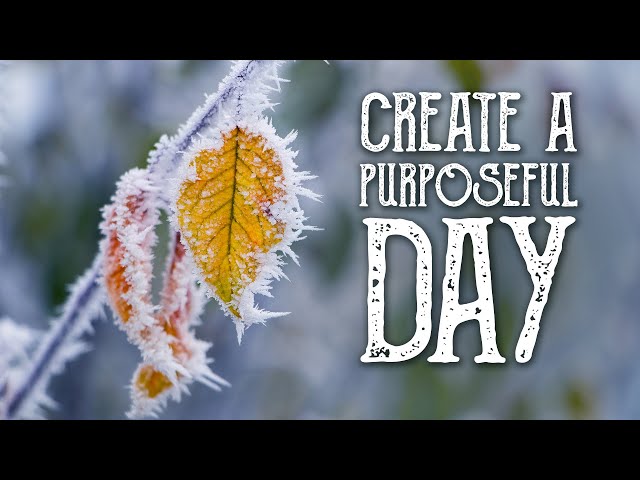 Guided Meditation for Creating a Purposeful Day - Start Your Day - Manifestation - Magical Crafting
