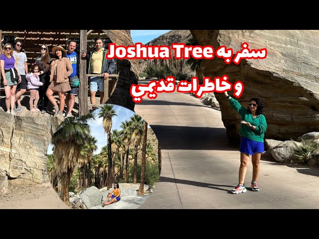 سفر كمپي به Joshua Tree