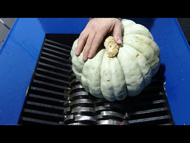 Shredder Machine Vs Hard Pumpkin! Oddly Satisfying - Relaxing Video