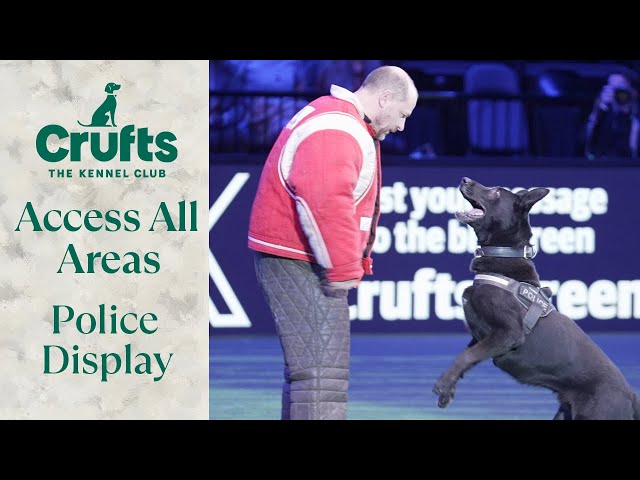 Access All Areas: Police Display 🚨 | Crufts 2024
