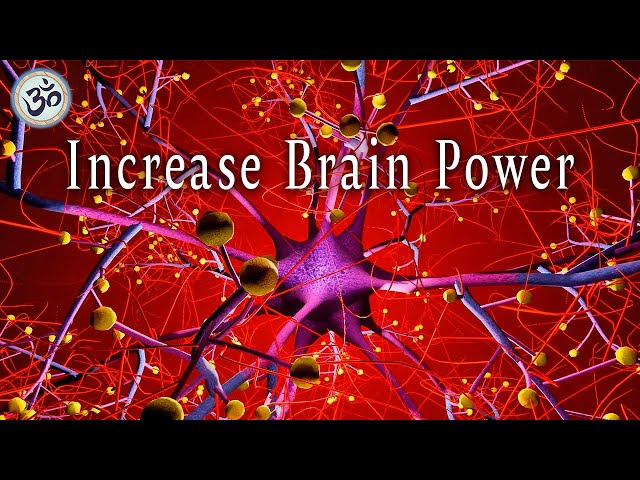 Boost Your Brain Power and Memory, Perfect for Studying and Concentration, Increase Brain Power