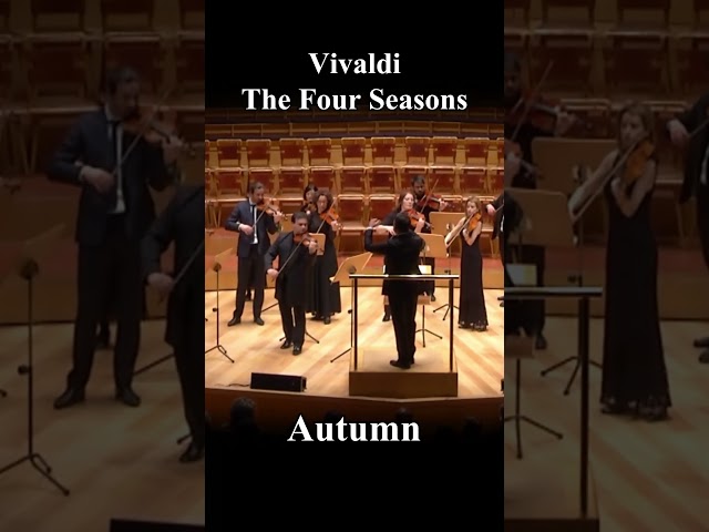 Vivaldi | The Four Seasons | #classicalmusic #violin