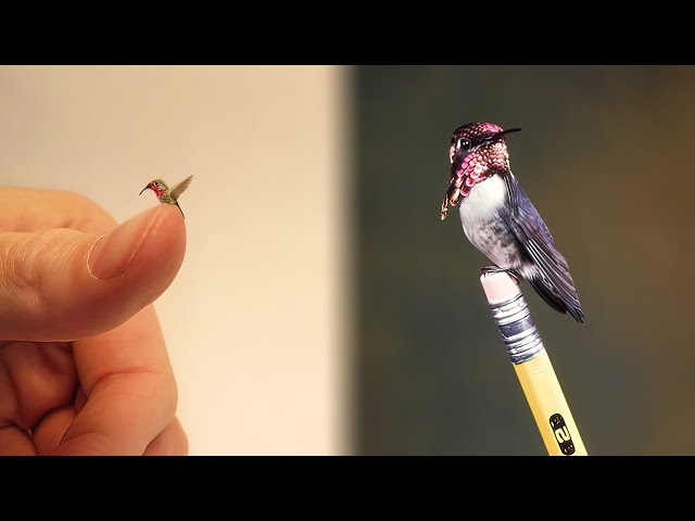 The SMALLEST BIRDS In The World