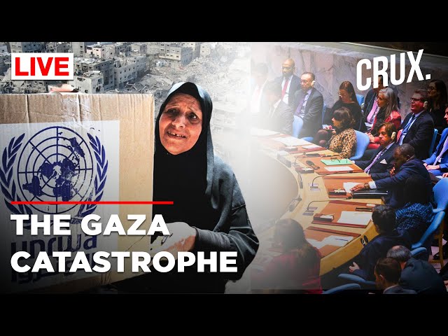 UN Flags Off Magnitude Of Gaza Humanitarian Crisis In Latest Briefing | Israel Hamas War | UN Live