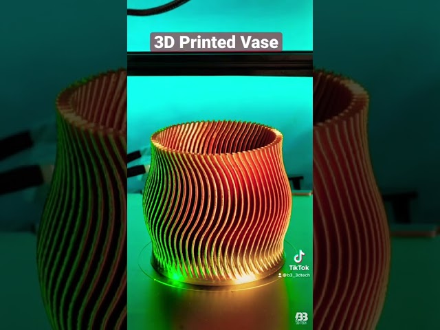 3D Printed Vase - Timelapse Cr10s pro v2 #shorts