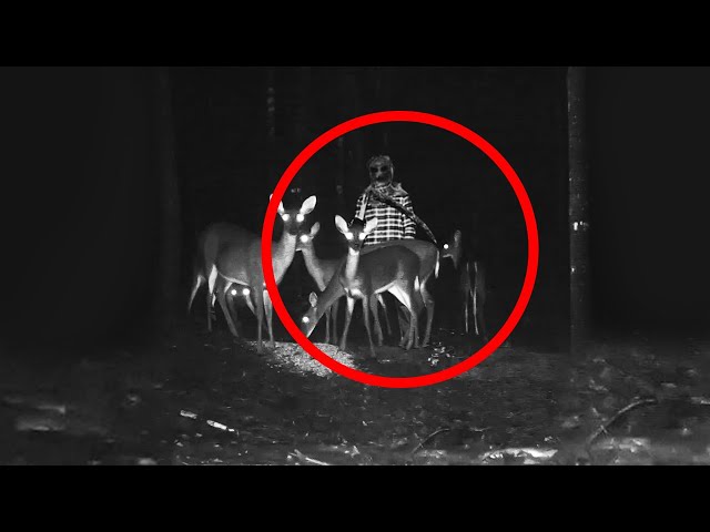 The Forbidden Forests Are Hiding Something Terrifying - Watch This Before It’s Too Late